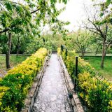 Sveti Stefan,Budva,Complex,For Sale, Pool, Villa, Summer House, Montenegro, Sea View